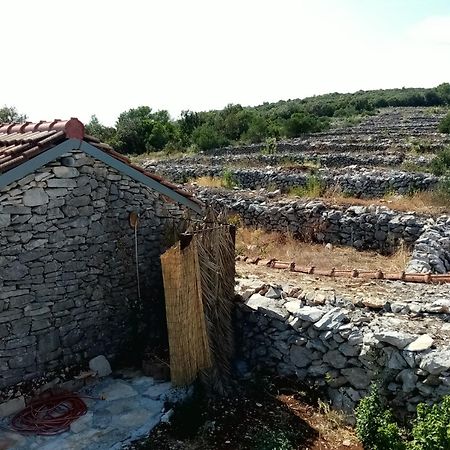 Pirate'S Nest Stone House Konuk evi Korčula Oda fotoğraf